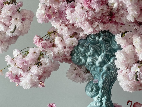 Floral portraits by Emma Bass Floral portraits by Emma Bass